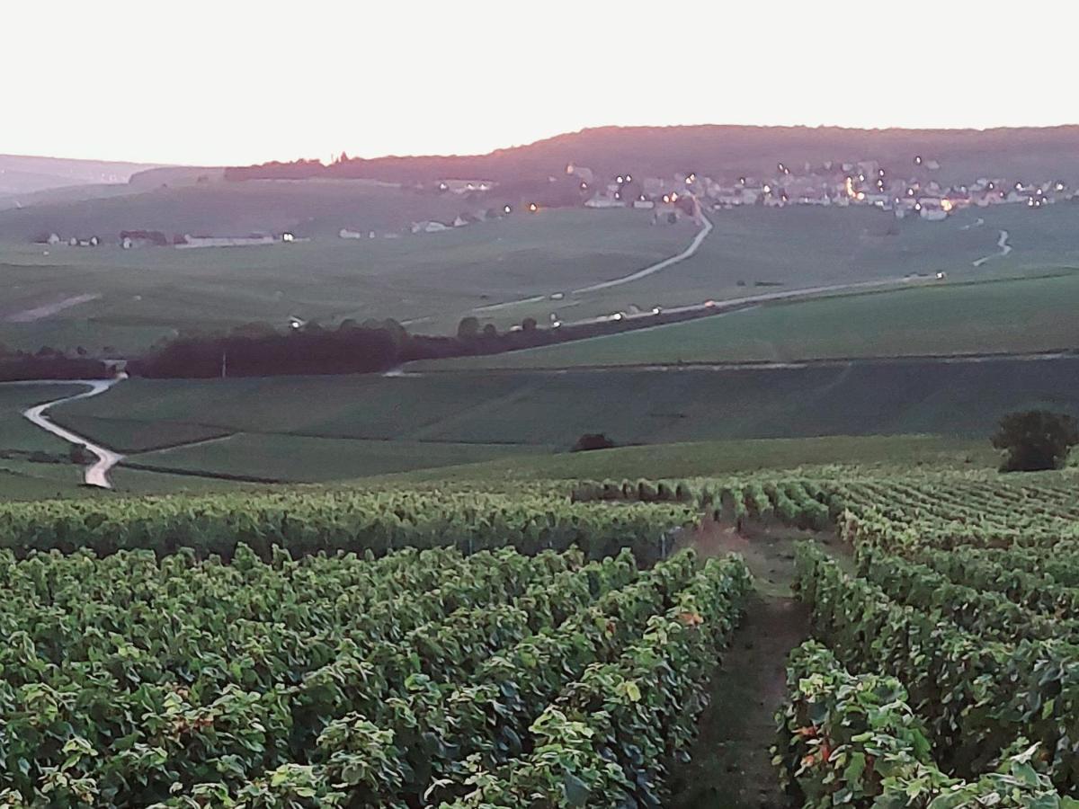 Апартаменти Epernay Capital De Champagne Екстер'єр фото