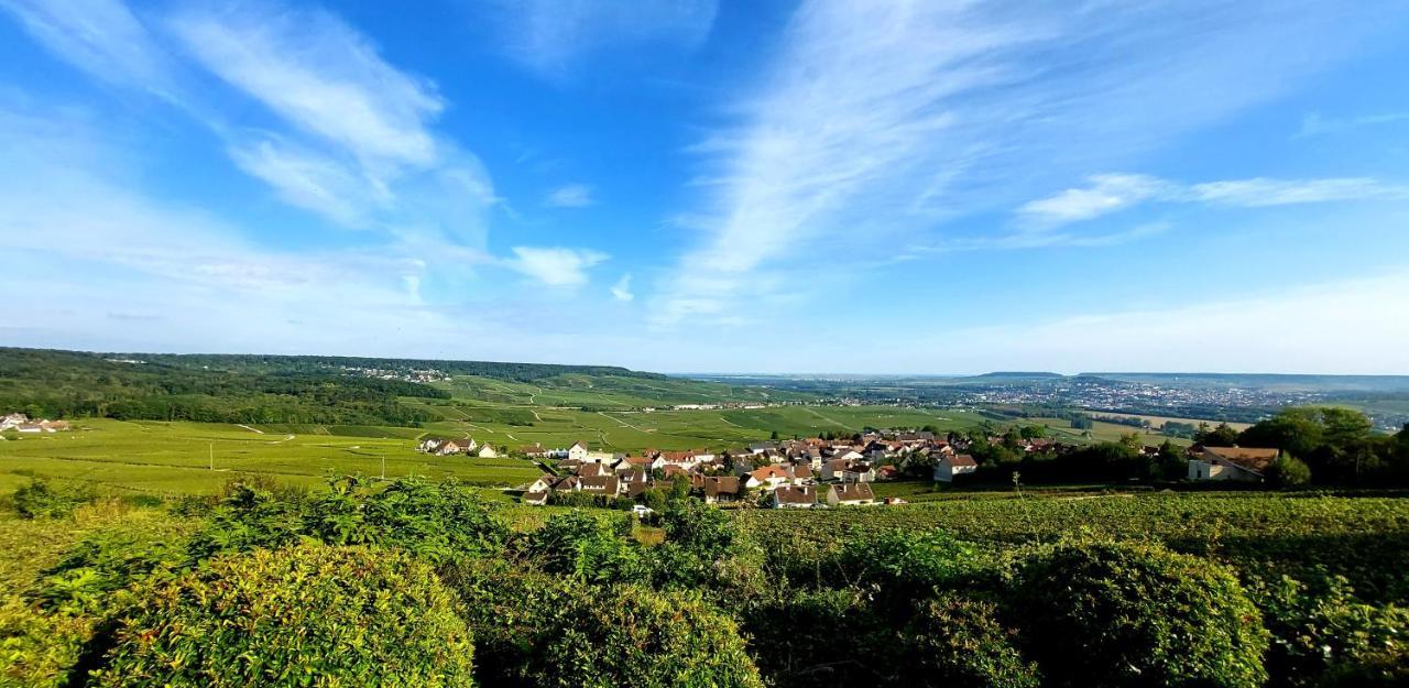 Апартаменти Epernay Capital De Champagne Екстер'єр фото